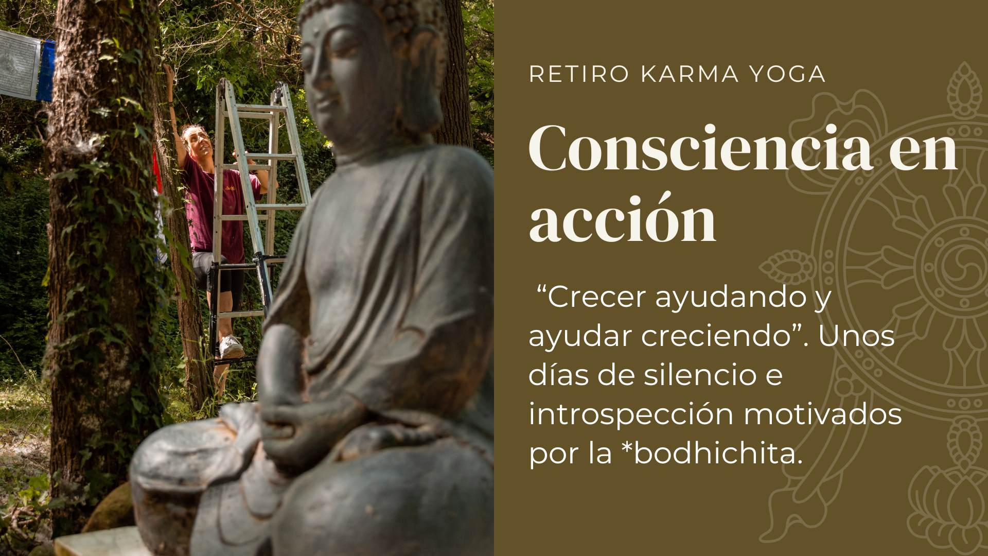 consciencia en acción retiro