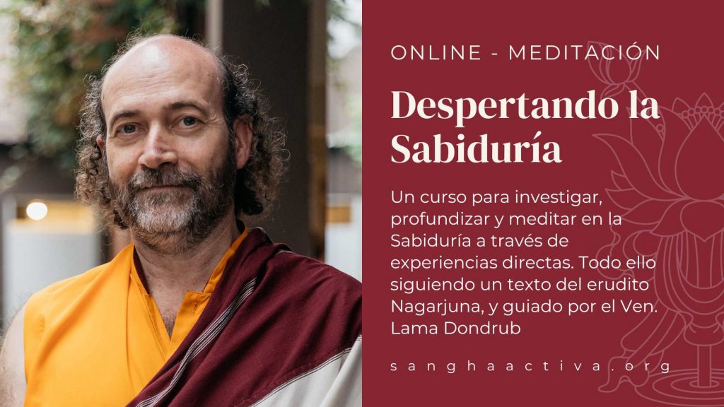 despertando la sabiduria imagen