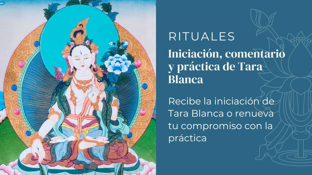 iniciacion a tara blanca